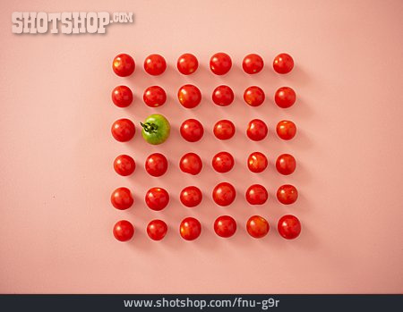 
                Tomate, Grüne Tomate                   