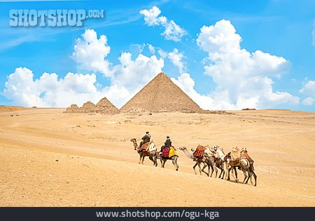 
                ägypten, Kamele, Kameltreiber                   