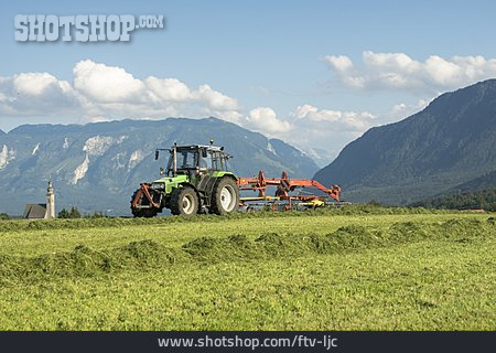 
                Landwirtschaft, Traktor, Heu                   