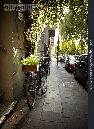 
                Umweltschutz, Fahrrad, Urban Gardening, Fahrradwende                   