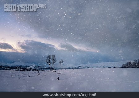 
                Winter, Winterlandschaft, Norwegen                   