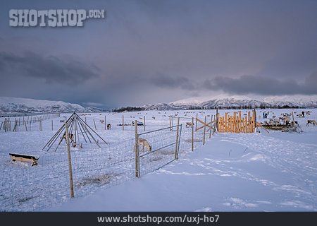 
                Schnee, Norwegen, Tromsø                   