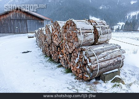 
                Winter, Vorrat, Brennholz                   