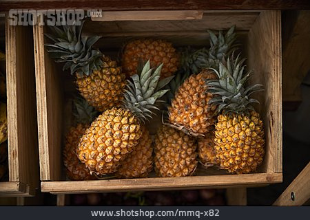 
                Südfrucht, Ananas, Bioobst                   