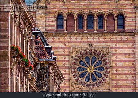 
                Rosette, Kirchenfenster, Speyer                   
