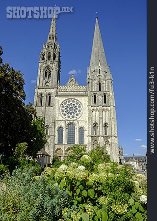 
                Kathedrale Von Chartres                   