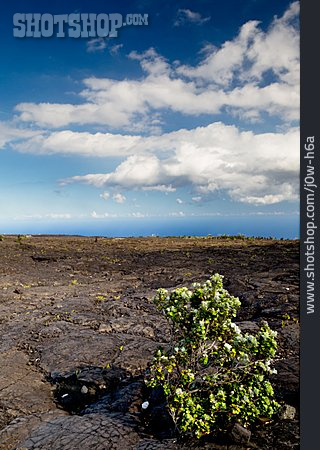 
                Lavagestein, Hawaiʻi-volcanoes-nationalpark                   