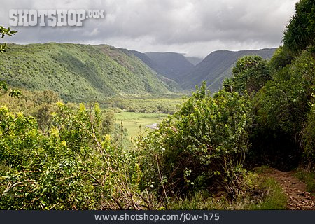 
                Hawaii, Pololu Valley                   