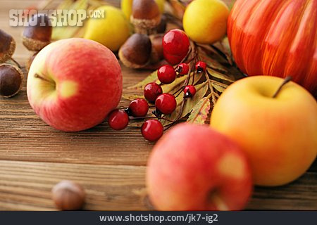 
                Herbst, Früchte, Ernte                   