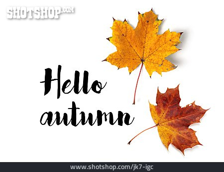 
                Herbst, Herbstgrüße, Hello Autumn                   