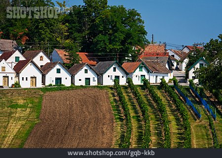 
                Weinbau, Kellergasse                   