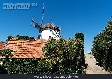 
                Windmühle, Retz                   
