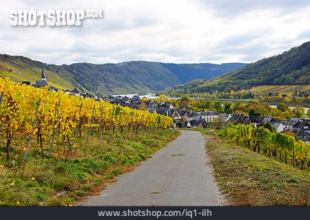 
                Weinort, Enkirch                   