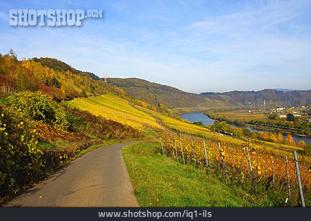 
                Rheinland-pfalz, Weinbaugebiet                   