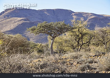 
                Namibia                   