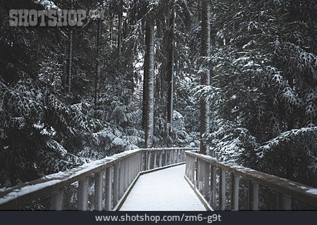 
                Verschneit, Hängebrücke                   