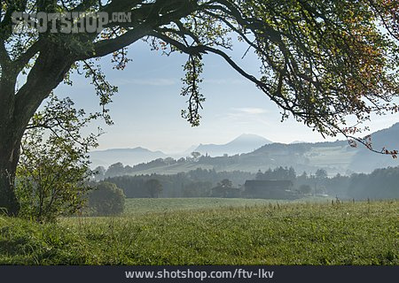 
                Morgenstimmung, Berchtesgadener Land                   