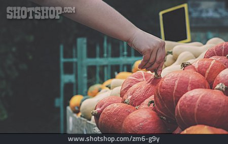 
                Einkaufen, Gemüsemarkt, Hokkaido                   
