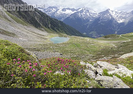 
                Zillertaler Alpen, Rauhkofel                   