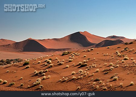 
                Sandwüste, Namibwüste, Namib                   