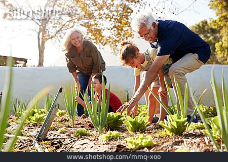 
                Enkel, Großeltern, Gemüsegarten                   