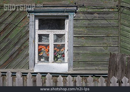 
                Fenster, Verwittert, Holzhaus                   