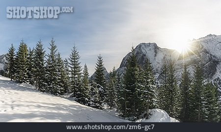 
                Winterlandschaft, Tirol, Tannenwald                   