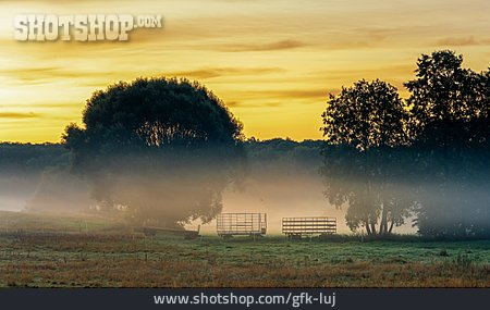 
                Sonnenaufgang, Landwirtschaft, Morgennebel                   