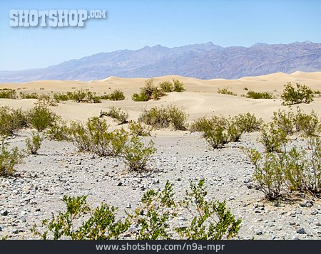 
                Mojave-wüste, Death-valley-nationalpark                   