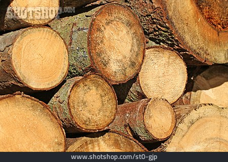 
                Holz, Baumstamm, Forstwirtschaft                   