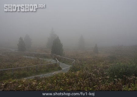 
                Nebel, Naturlehrweg Windebensee                   