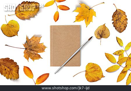
                Herbstblatt, Skizzenbuch                   