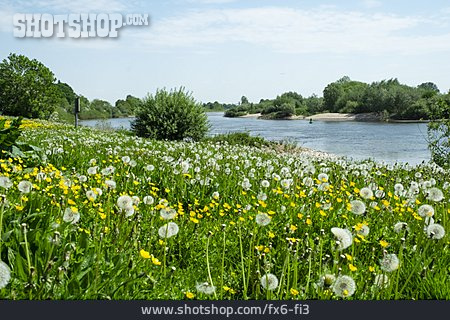 
                Frühjahr, Weser                   
