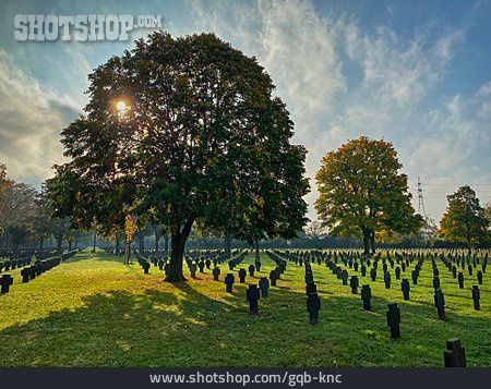 
                Grabstein, Soldatenfriedhof                   