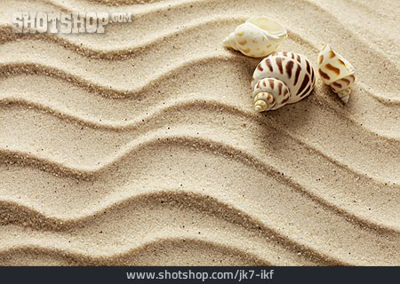 
                Sand, Muscheln                   