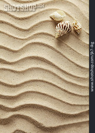 
                Sand, Mussels, Wave Pattern                   