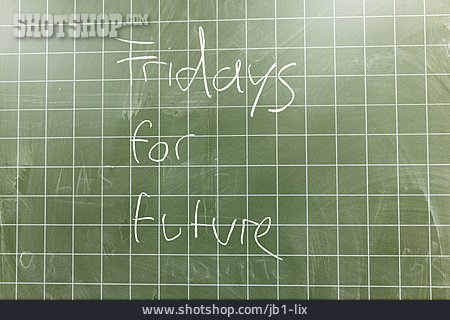 
                Fridays For Future, Schulstreik                   