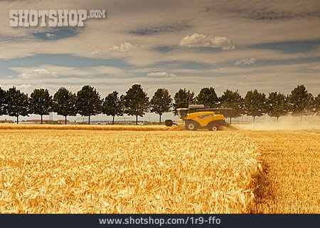 
                Mähdrescher, Getreideernte, Erntemaschine                   