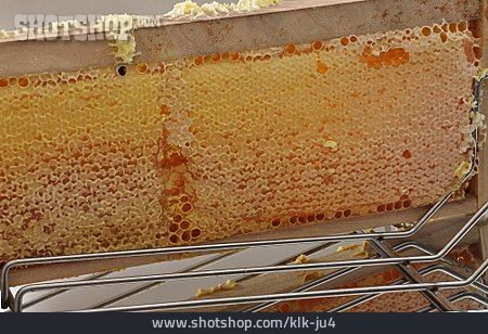 
                Honigwabe, Honigernte                   