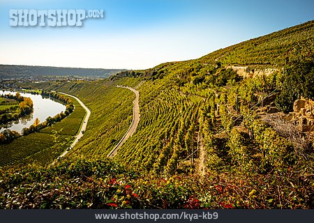 
                Weinberg, Weinanbaugebiet, Weinhang                   