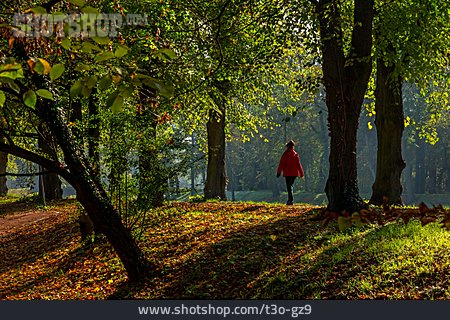 
                Park, Herbst, Spaziergang                   