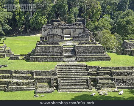 
                Maya-ruine, Caracol                   