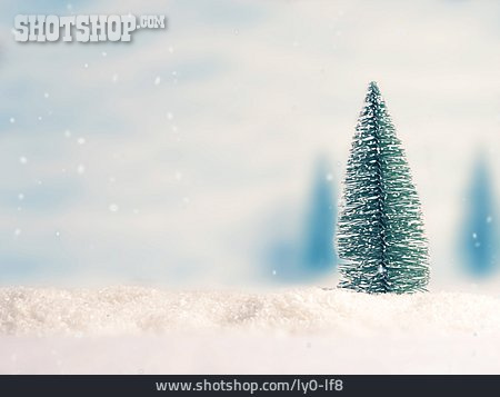 
                Schnee, Tannenbaum                   