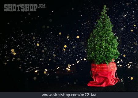 
                Weihnachten, Weihnachtsbaum, Weihnachtlich                   