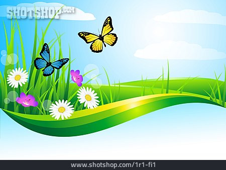 
                Schmetterling, Blumenwiese, Frühling                   