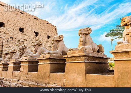 
                Sphinx, Karnak-tempel                   