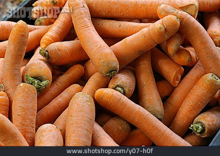 
                Möhren, Karotten                   