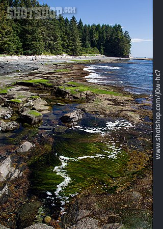 
                Küste, Vancouver Island, Botanical Beach Provincial Park                   