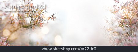 
                Hintergrund, Frost, Winterlich                   