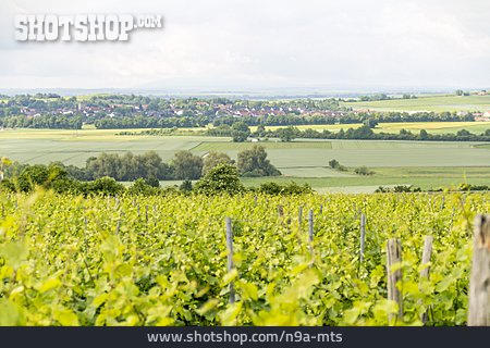 
                Rheinland-pfalz, Weinanbaugebiet, Kulturlandschaft                   